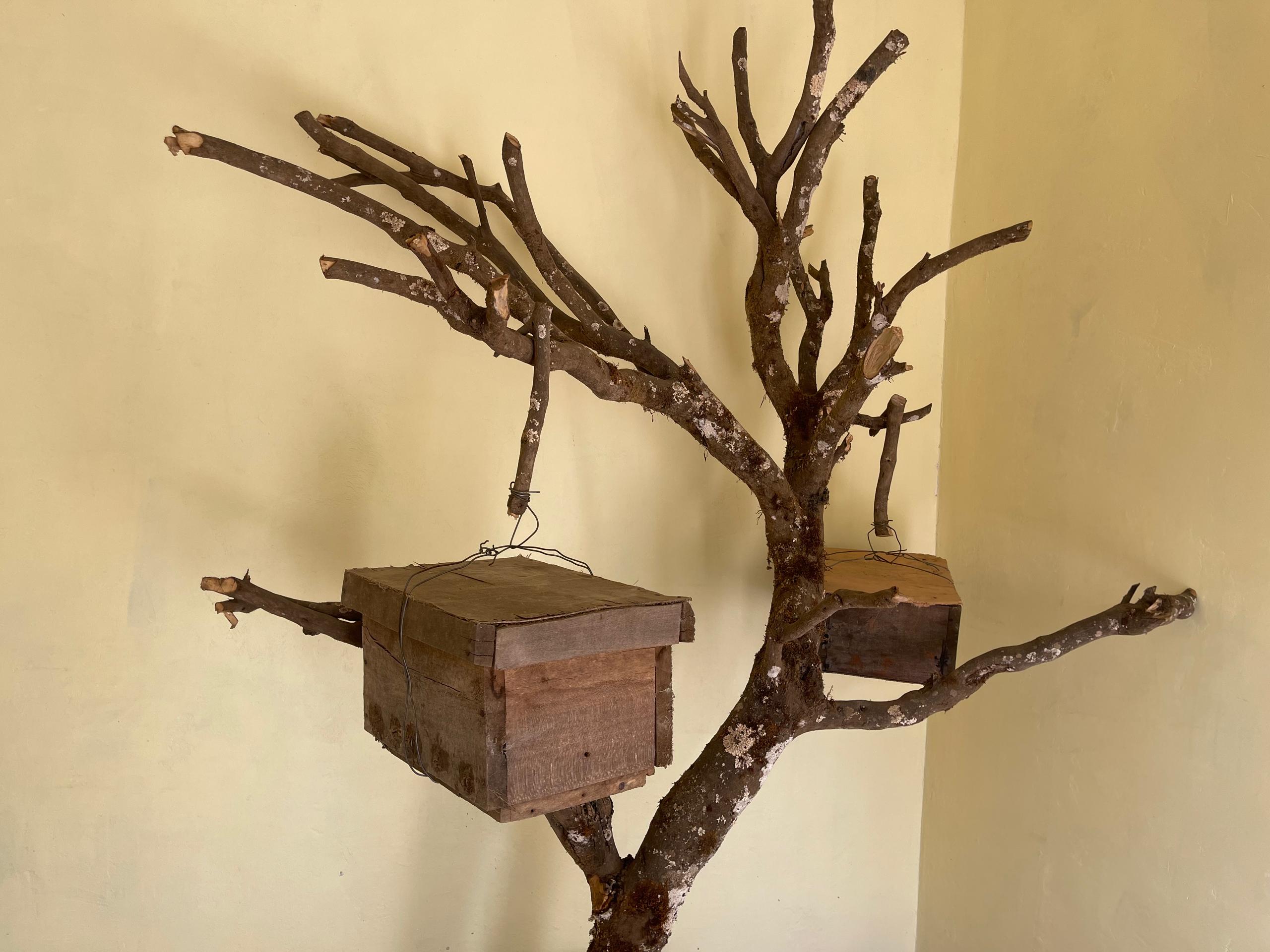 Model of how beehives are Hanged on trees by most African beekeepers